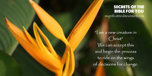 Teachings by Debra Marie Burslem