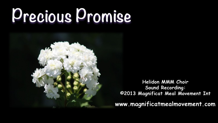 Join in”Precious Promise” & Let Sweet Joy Flow in U.
