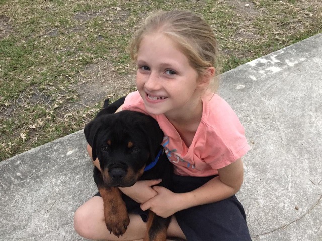 Our children train their puppies to protect them