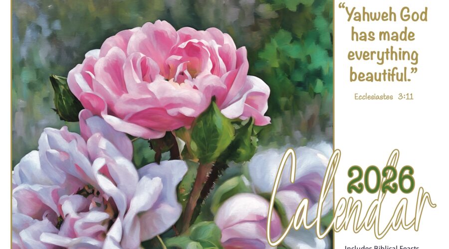 2026 Calendar & Heavenly Light Glows Book Available 4 U